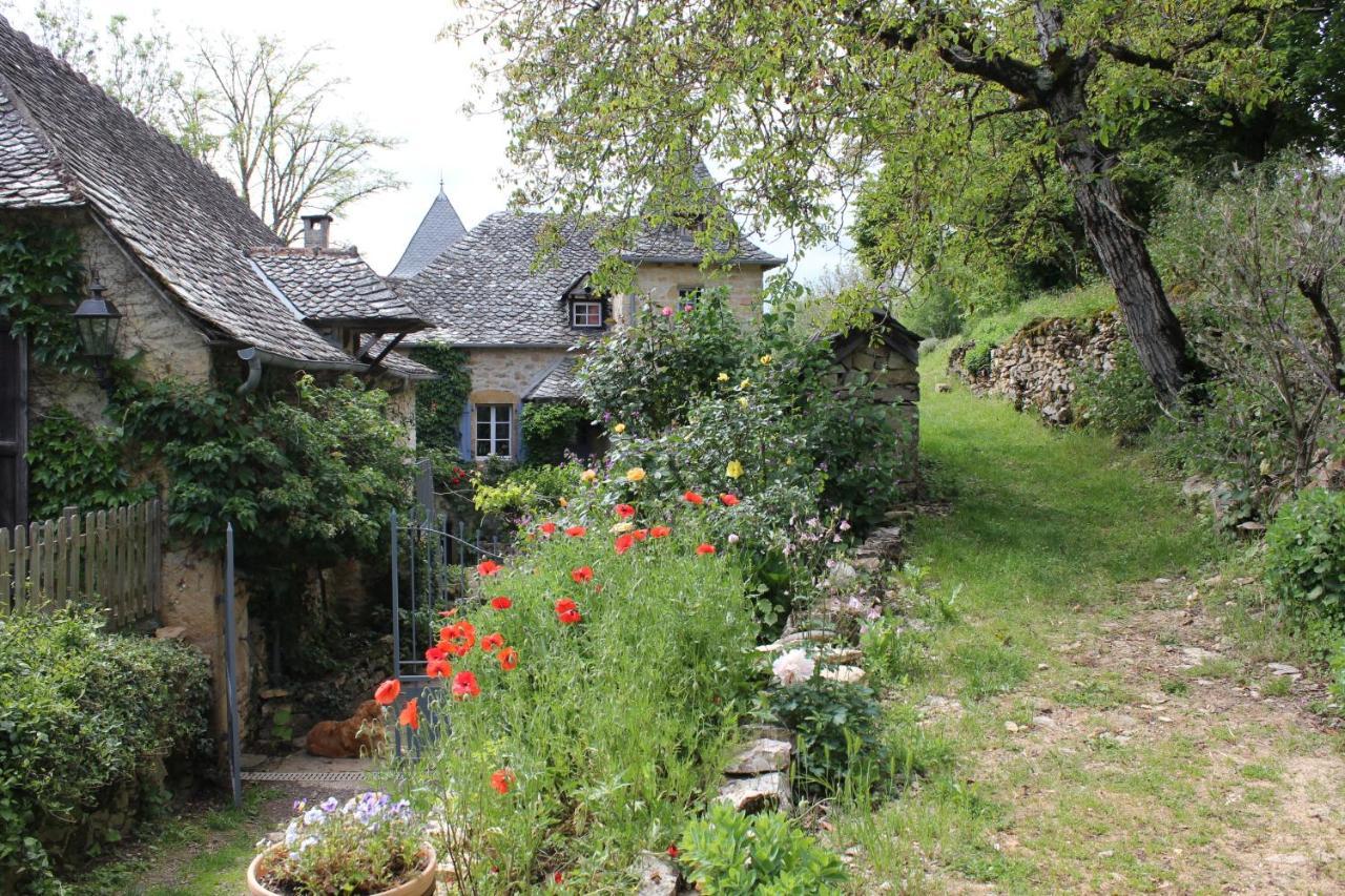 Les Terrasses De Labade Gite Et Chambres D'Hotes Coubisou Kültér fotó