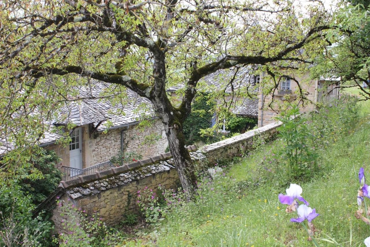 Les Terrasses De Labade Gite Et Chambres D'Hotes Coubisou Kültér fotó